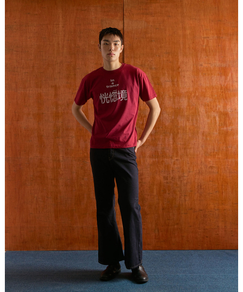 mydeepbluememories(マイディープブルーメモリーズ)の「A TRANCE T-SHIRTS (BURGUNDY)(Tシャツ/カットソー・レディース・バーガンディー・FREE)」の4枚目の写真
