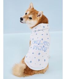 CAT＆DOG】ハイスタンドフードボウル（その他ペットグッズ）｜gelato