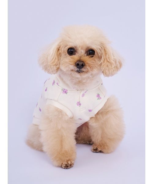 gelato pique（ジェラートピケ）の「【CAT&DOG】フラワー柄裏毛フーディー（リード/ハーネス/首輪・レディース・ラベンダー/ブルー・S/M/L）」の4枚目の写真