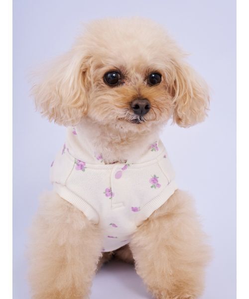 gelato pique（ジェラートピケ）の「【CAT&DOG】フラワー柄裏毛フーディー（リード/ハーネス/首輪・レディース・ラベンダー/ブルー・S/M/L）」の5枚目の写真