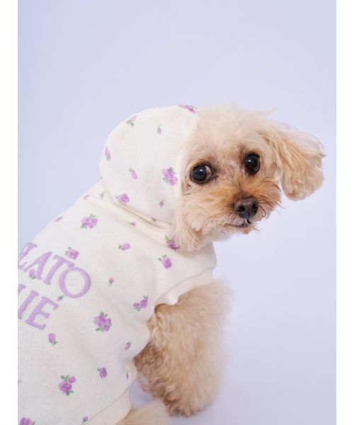 gelato pique（ジェラートピケ）の「【CAT&DOG】フラワー柄裏毛フーディー（リード/ハーネス/首輪・レディース・ラベンダー/ブルー・S/M/L）」の9枚目の写真