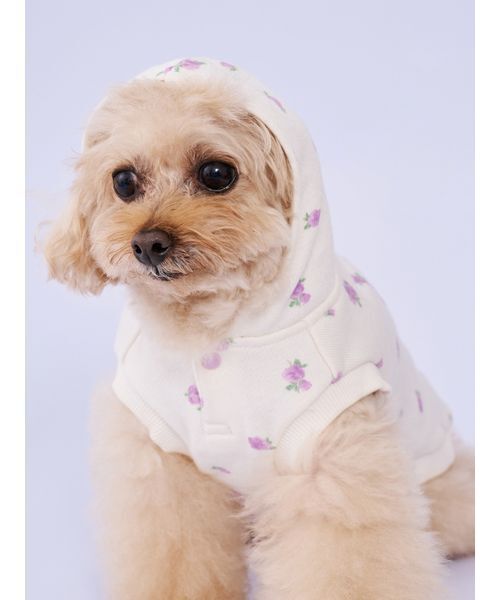 gelato pique（ジェラートピケ）の「【CAT&DOG】フラワー柄裏毛フーディー（リード/ハーネス/首輪・レディース・ラベンダー/ブルー・S/M/L）」の10枚目の写真