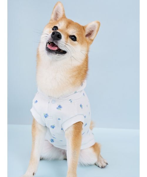 gelato pique（ジェラートピケ）の「【CAT&DOG】フラワー柄裏毛フーディー（リード/ハーネス/首輪・レディース・ラベンダー/ブルー・S/M/L）」の12枚目の写真
