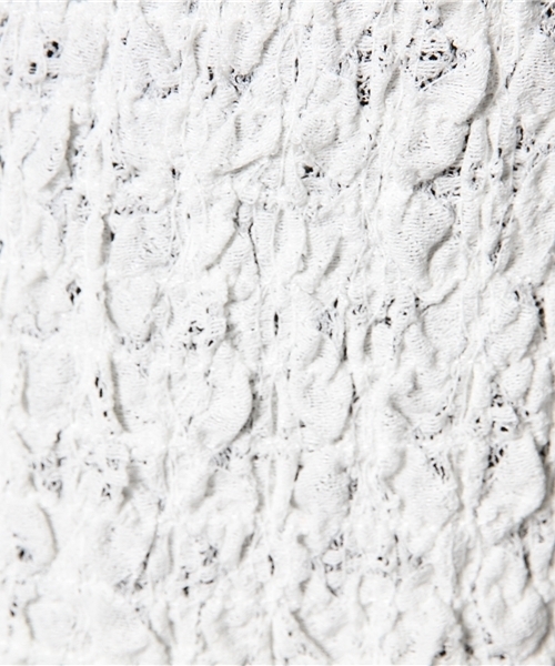 Chico（チコ）の「レースシャーリングTOPS（Tシャツ/カットソー・レディース・ホワイト/ネイビー・FREE）」の3枚目の写真