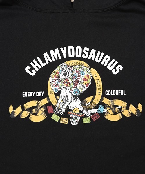 チチカカ(チチカカ)の「【ユニセックス】エリマキトカゲプルオーバー(パーカー・メンズ・ブラック/グレー・MEDIUM/LARGE)」の15枚目の写真