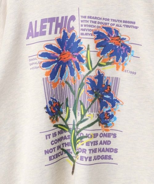 フラワーページ 千日紅 ホワイト DN000008-001【ドライフラワー】通販｜GREEN PIECE