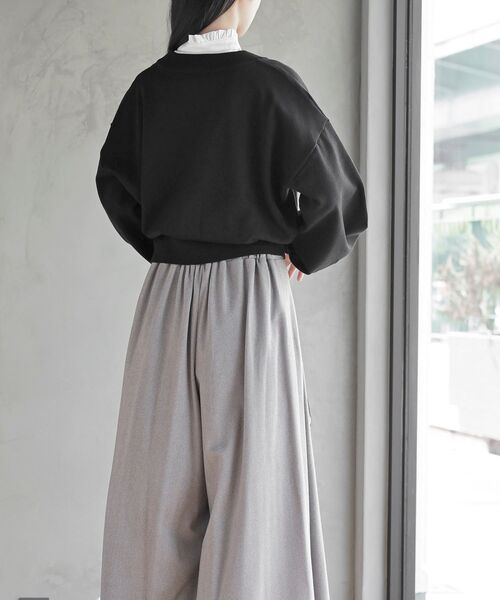 rps(アールピーエス)の「付け衿(付け襟・レディース・ブラック/ブラック系その他2/オフホワイト/ホワイト系その他2・フリー)」の17枚目の写真