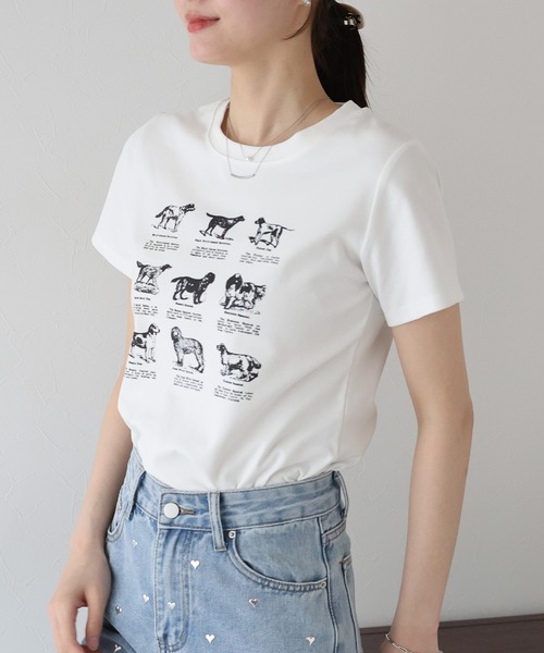 BLUEEAST(ブルーイースト)の「DOGアソートプリント半袖Tシャツ(Tシャツ/カットソー・レディース・ホワイト/ブラック/ネイビー・MEDIUM)」の22枚目の写真