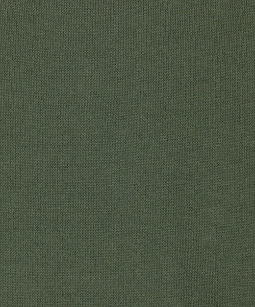 JOHN SMEDLEY(ジョンスメドレー)の「JOHN SMEDLEY DONNELLY コットン スキッパーニット(ニット/セーター・メンズ・ブラック/グリーン・L/M)」の10枚目の写真