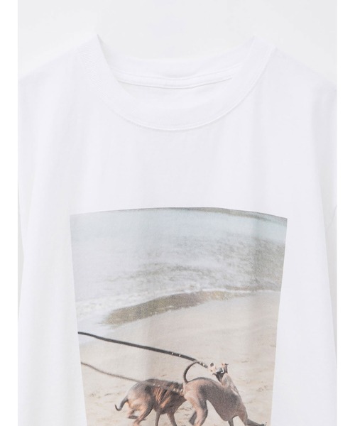 HER.(ハー)の「Oreo & Rose Tee/03(Tシャツ/カットソー・レディース・オフホワイト・XL/フリー)」の18枚目の写真