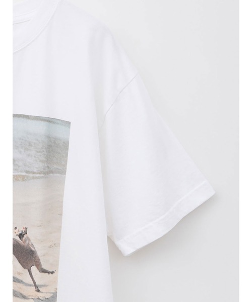 HER.(ハー)の「Oreo & Rose Tee/03(Tシャツ/カットソー・レディース・オフホワイト・XL/フリー)」の19枚目の写真