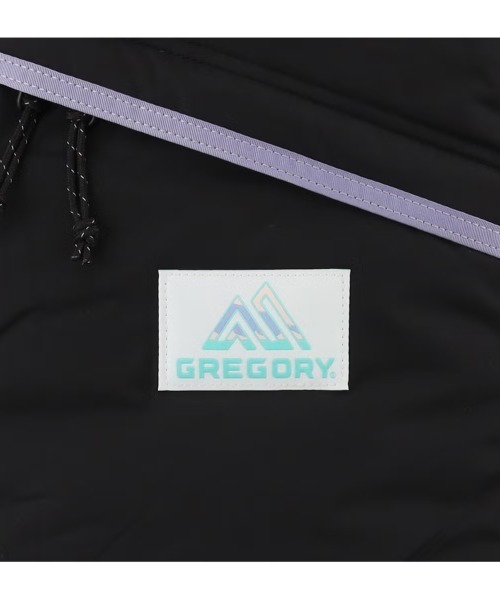 GREGORY(グレゴリー)の「【GREGORY/グレゴリー】 デイパック NAUGHTIAM別注(バックパック/リュック・メンズ・ブラック・FREE)」の14枚目の写真