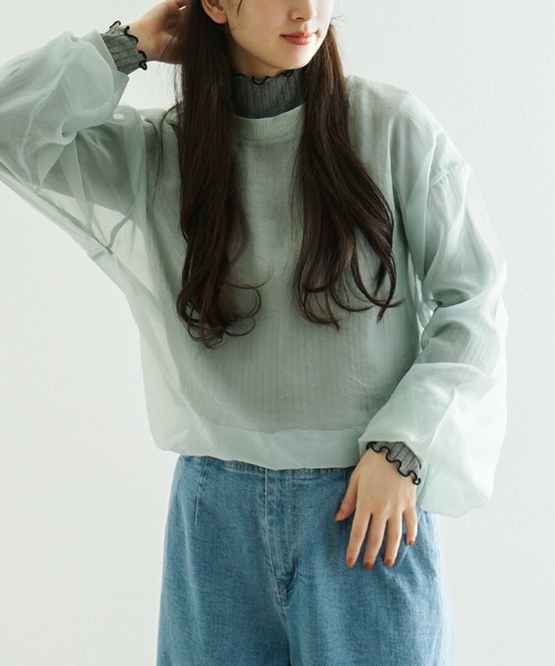 zootie（ズーティー）の「シアー×リブ ロングスリーブプルオーバー（Tシャツ/カットソー・レディース・キャメル/ミント/グレイッシュベージュ/ブラック・フリー）」の5枚目の写真
