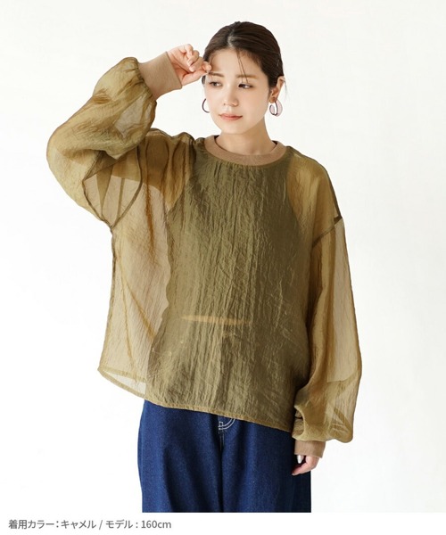 zootie（ズーティー）の「シアー×リブ ロングスリーブプルオーバー（Tシャツ/カットソー・レディース・キャメル/ミント/グレイッシュベージュ/ブラック・フリー）」の11枚目の写真