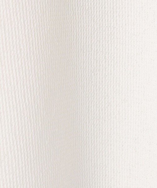 BALLSEY（ボールジィ）の「ワッフルジャージーコンビ ドルマンスリーブプルオーバー（Tシャツ/カットソー・レディース・ホワイト/ボルドー/ブラック・S）」の12枚目の写真