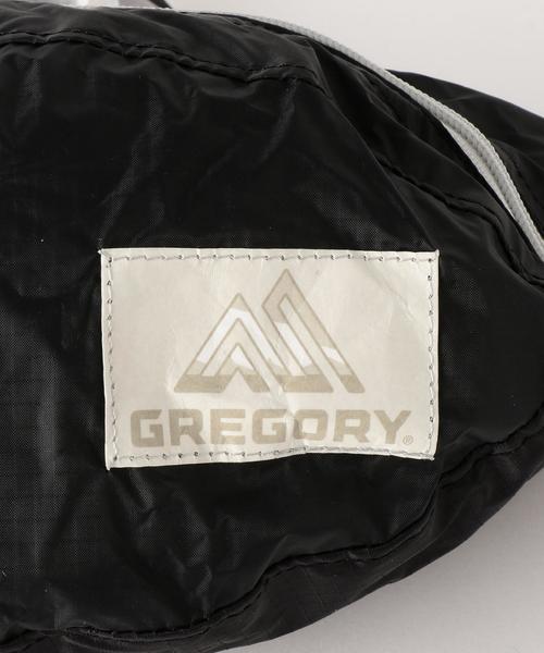 GREGORY(グレゴリー)の「GREGORY(グレゴリー) TAIL RUNNER LT(ボディバッグ/ウエストポーチ・メンズ・グレー/ロイヤルブルー/ブラック・FREE)」の6枚目の写真