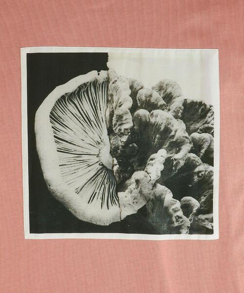 OAMC（オーエーエムシー）の「＜OAMC(オーエーエムシー)＞ FUNGI TEE/Tシャツ■■■（Tシャツ/カットソー・メンズ・ピンク/ホワイト・SMALL/MEDIUM/LARGE）」の11枚目の写真