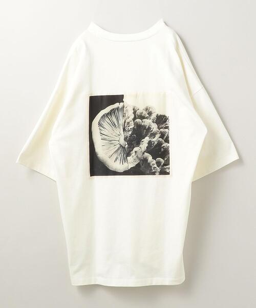 OAMC（オーエーエムシー）の「＜OAMC(オーエーエムシー)＞ FUNGI TEE/Tシャツ■■■（Tシャツ/カットソー・メンズ・ピンク/ホワイト・SMALL/MEDIUM/LARGE）」の4枚目の写真