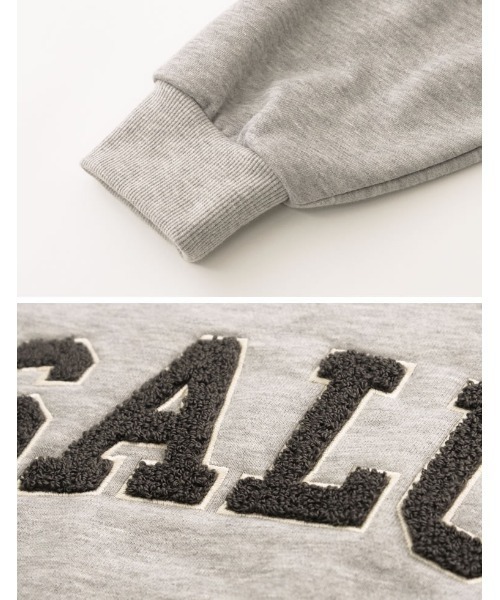 Re:EDIT(リエディ)の「裏毛サガラ刺繍ロゴスウェットプルオーバー(スウェット・レディース・グレー/ホワイト系その他/ブラック/ブルー/モカ/グリーン・LARGE/MEDIUM)」の19枚目の写真