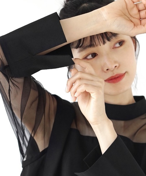 e-zakkamania stores(イーザッカマニアストアーズ)の「シアー チュニックブラウス(シャツ/ブラウス・レディース・ライトベージュ/ブラック・M)」の6枚目の写真