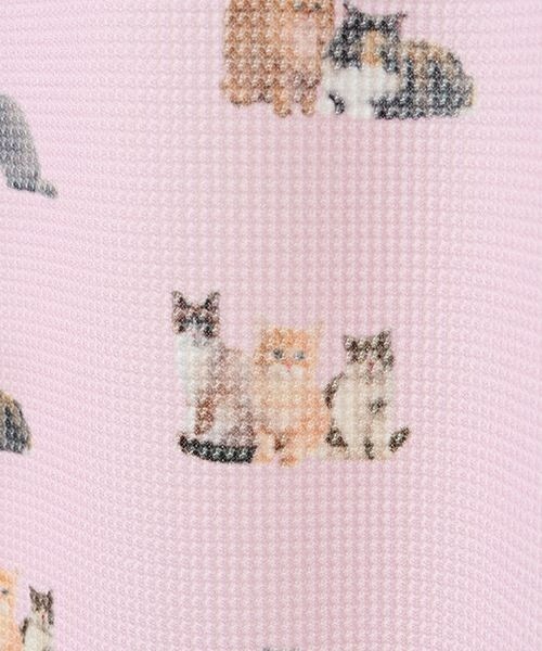 Candy Stripper（キャンディストリッパー）の「BABY KITTENS WAFFLE パンツ（その他パンツ・レディース・ピンク/アイボリー/ブラック・2）」の19枚目の写真