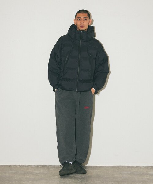 ALLTERRAIN/水沢ダウン 別注 MOUNTAINEER CROPPED