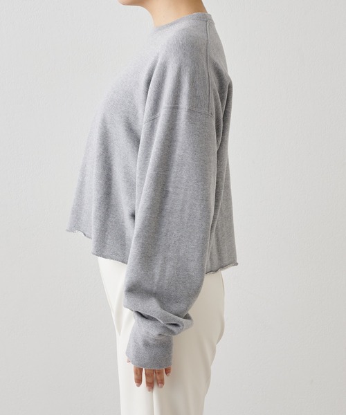 Whim Gazette（ウィムガゼット）の「ウォッシュ裏毛プルオーバー（スウェット・レディース・ベージュ/ピンク/グレー・FREE）」の7枚目の写真