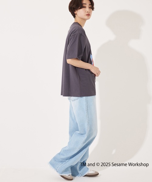 SESAME STREET×FTL Illust T-Shirt B / コラボ / セサミストリート