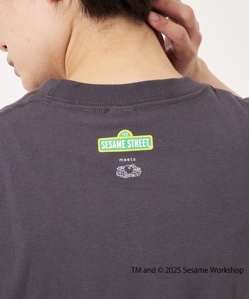 FRUIT OF THE LOOM(フルーツオブザルーム)の「SESAME STREET×FTL Illust T-Shirt B / コラボ / セサミストリート / 半袖 / 前面 / キャラクター / イラスト / プリント / ワンポイント / ロゴ / ユニセックス(Tシャツ/カットソー・メンズ・チャコール/ライトベージュ・S/M/L)」の8枚目の写真