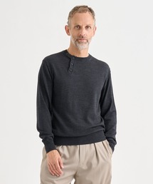 IRENISA（イレニサ）の「【irenisa/イレニサ】別注WOOL CREW-NECK KNIT PULLOVER（ニット/セーター）」