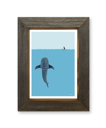 GREENROOM(�O���[�����[��)�́yJONAS CLAESSON / �W���i�X�E�N���A�b�\���zWHALE SHARK(�|�X�^�[/�A�[�g)