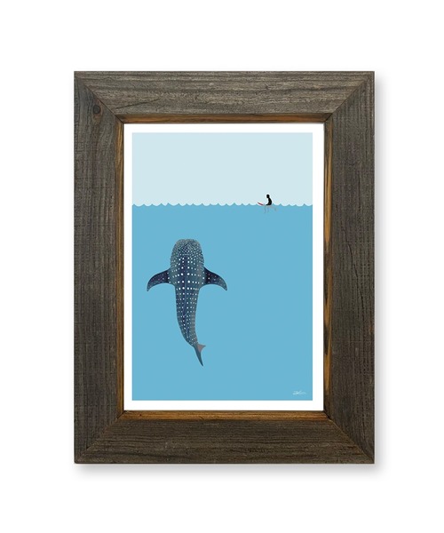 ＜Jonas Claesson＞WHALE SHARK アート Jonas Claesson Whale Shark — Polu Gallery