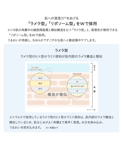 ETVOS（エトヴォス）の「モイスチャライジングセラム（50ml）（美容液/オイル/クリーム・レディース・その他/ホリデー限定・FREE）」の13枚目の写真