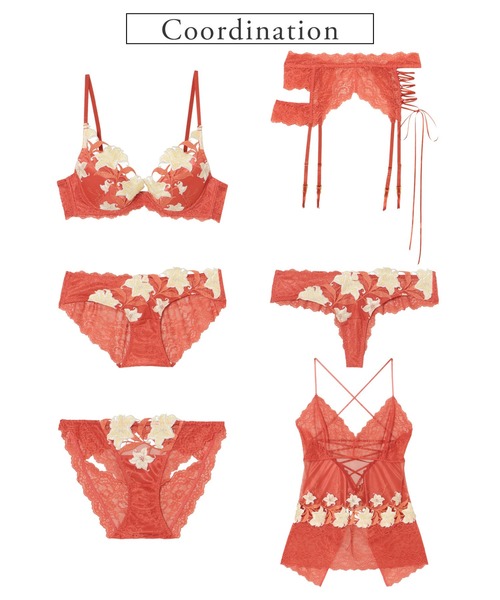 シリウス オープンバック 単品ショーツ（ショーツ）｜LINGERIEAM