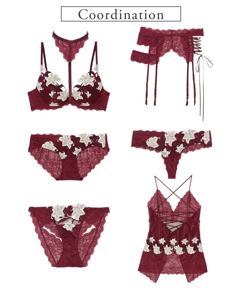 シリウス オープンバック 単品ショーツ（ショーツ）｜LINGERIEAM