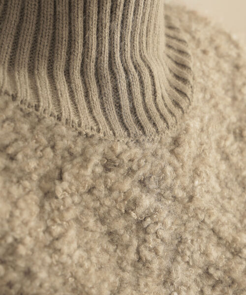 BeAMS DOT（ビームスドット）の「【WEB限定】BeAMS DOT / ジャカード ニットベスト（ベスト・レディース・ダークブラウン/ベージュ・FREE）」の16枚目の写真