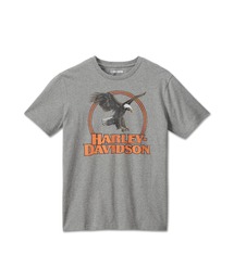 Harley-Davidson | モニュメントバレーTシャツ(Tシャツ/カットソー)
