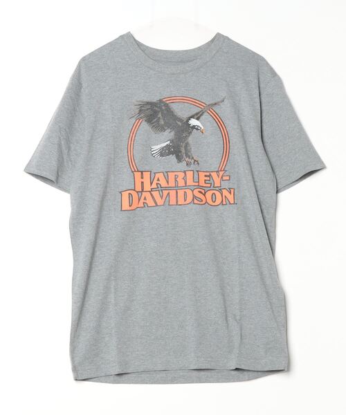 Harley-Davidson（ハーレーダビッドソン）の「モニュメントバレーTシャツ（Tシャツ/カットソー・メンズ・グレー系その他・X-LARGE/LARGE/MEDIUM/SMALL）」の4枚目の写真
