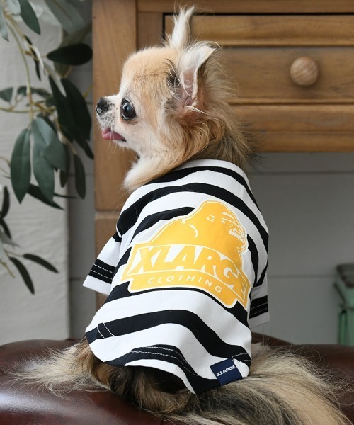 XLARGE（エクストララージ）の「XLARGE/OGボーダーT（ペットウェア・レディース・グリーン/ホワイト・XS/S/M/L/2L/3L）」の2枚目の写真