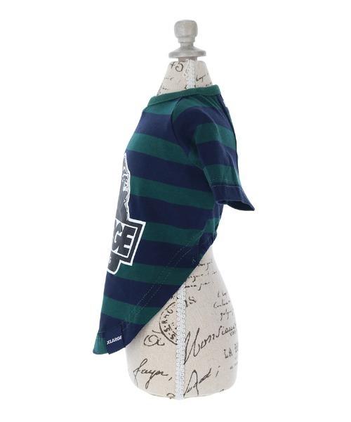 XLARGE（エクストララージ）の「XLARGE/OGボーダーT（ペットウェア・レディース・グリーン/ホワイト・XS/S/M/L/2L/3L）」の8枚目の写真