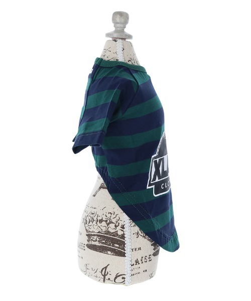 XLARGE（エクストララージ）の「XLARGE/OGボーダーT（ペットウェア・レディース・グリーン/ホワイト・XS/S/M/L/2L/3L）」の10枚目の写真