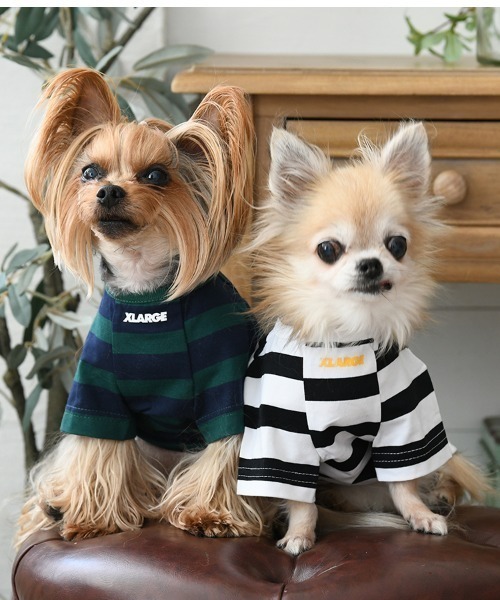 XLARGE（エクストララージ）の「XLARGE/OGボーダーT（ペットウェア・レディース・グリーン/ホワイト・XS/S/M/L/2L/3L）」の14枚目の写真