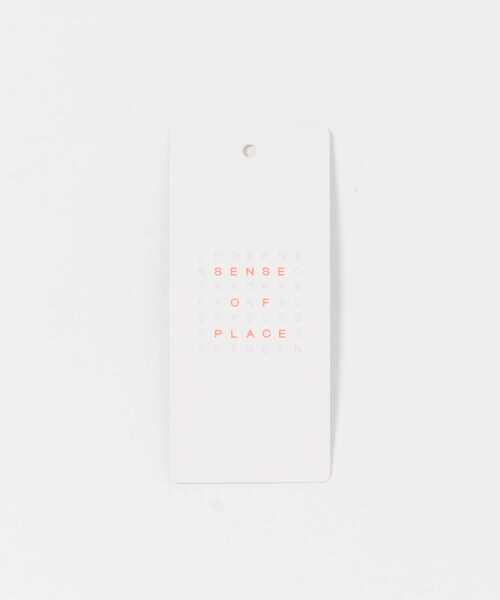 SENSE OF PLACE by URBAN RESEARCH（センスオブプレイスバイアーバンリサーチ）の「クルーネックラメTシャツ(半袖)（Tシャツ/カットソー・レディース・ライトブルー/ブラック/シルバー/ベージュ/ピンク・ONE）」の11枚目の写真