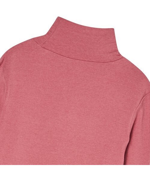 THE GREEN LAB（ザグリーンラボ）の「テンセルタートルネックTシャツ[グレイッシュピンク]（Tシャツ/カットソー・レディース・その他・FREE）」の4枚目の写真