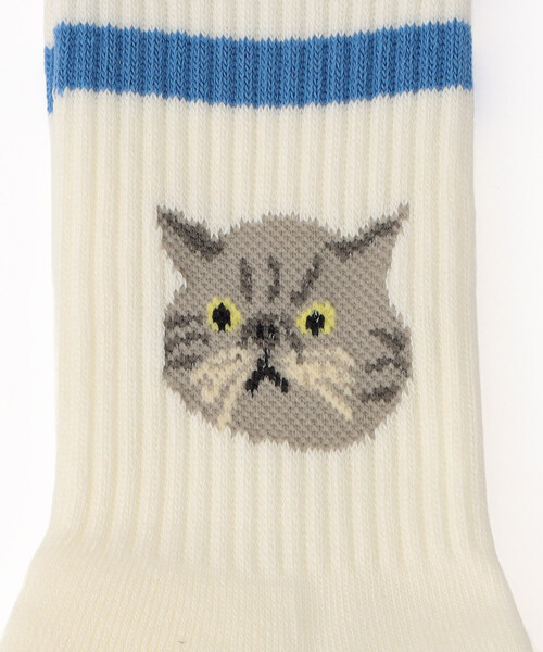 FREAK'S STORE（フリークスストア）の「ROSTER SOX/ロスターソックス CAT/キャット（ソックス/靴下・レディース・ブルー/オレンジ/グリーン・ONE SIZE）」の5枚目の写真