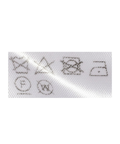 Ray BEAMS（レイビームス）の「GHOSPELL / Alva Plisse Cropped