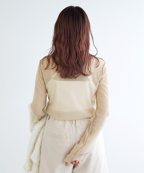 w closet（ダブルクローゼット）の「ラメメッシュプルオーバー（Tシャツ/カットソー・レディース・キナリ/グレー/オフホワイト・FREE）」の18枚目の写真