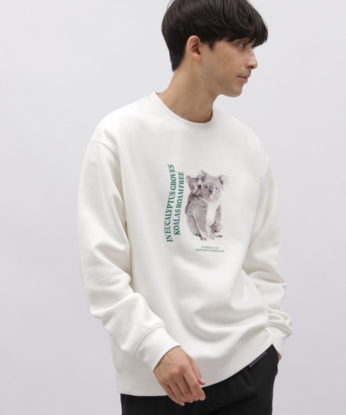 LAKOLE（ラコレ）の「アニマルグラフィックプルオーバー
