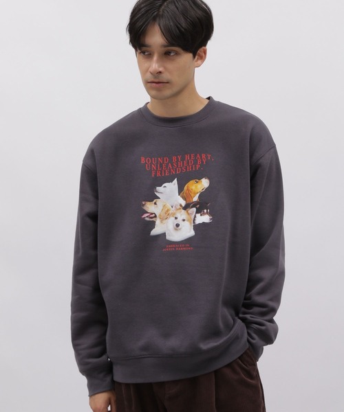 LAKOLE（ラコレ）の「アニマルグラフィックプルオーバー