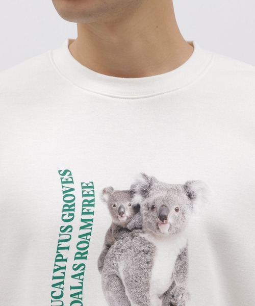 LAKOLE（ラコレ）の「アニマルグラフィックプルオーバー / 983615